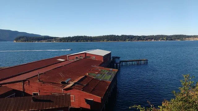 Wildcatch Seafood Products