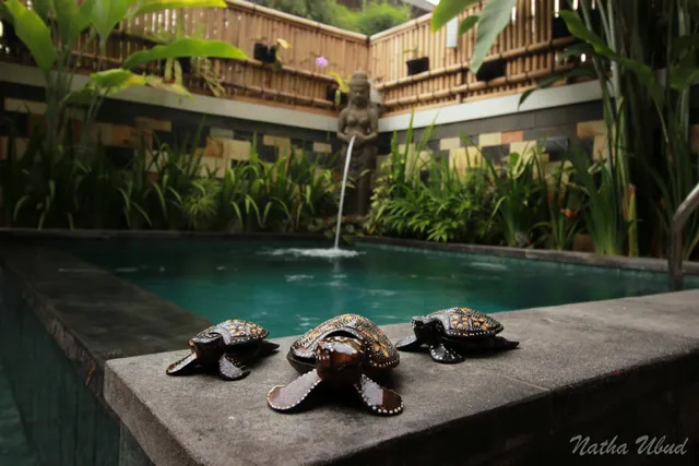 Natha Ubud Private Pool Villas