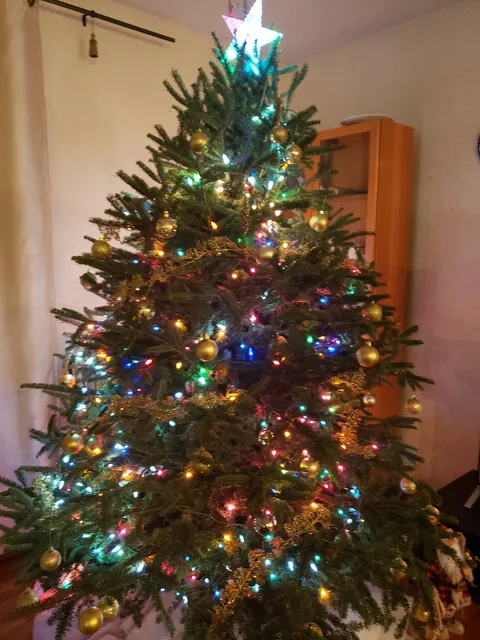 Gallo Christmas Tree Delivery