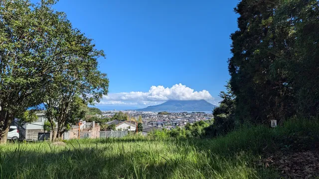 The International University of Kagoshima