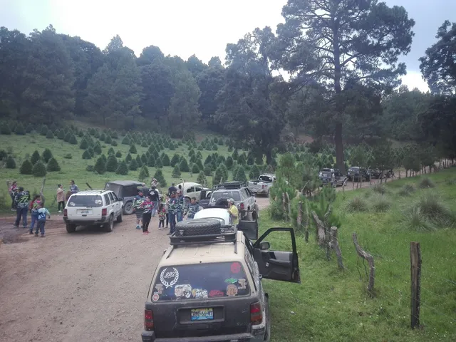 Cabañas Rancho el Paraiso