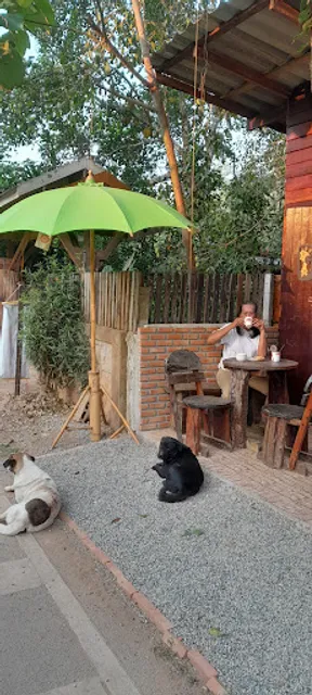 ไทรดาว Coffee