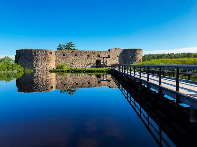 Kronoberg Castle Ruin