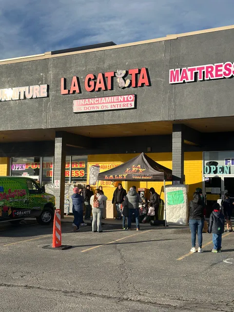 La Gatita Furniture