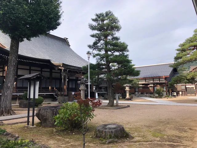photo-1
