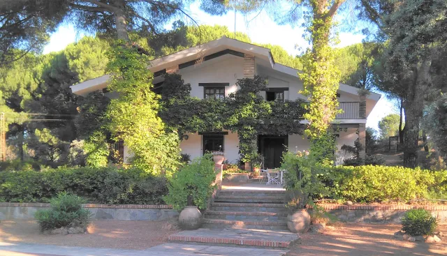 Viña Arroyo del Gallo