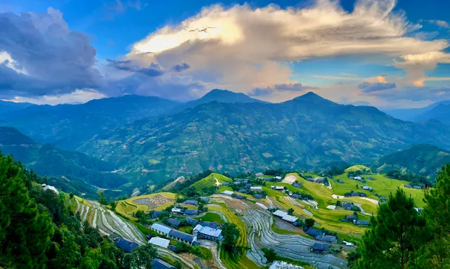 Trọng Phú Homestay