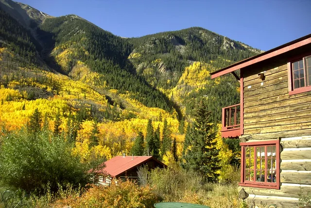 Mount Elbert Lodge