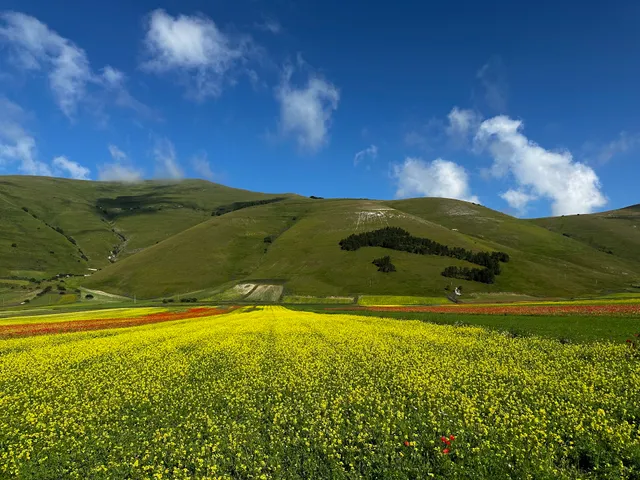 Pian Grande di Castelluccio di Norcia PG