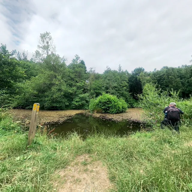 Leigh Farmbed Breakfast & Self Catering Terraced Bungalows