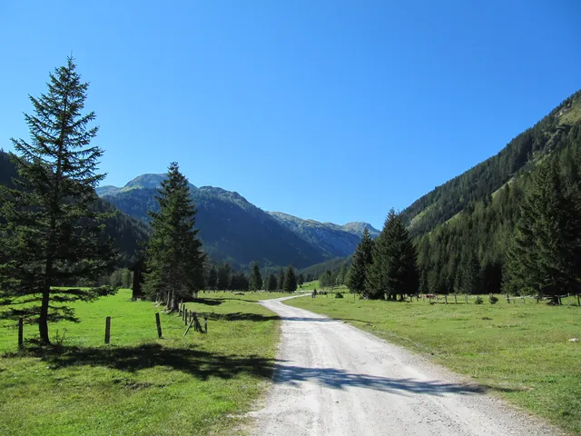 Denggnhof - Ferienwohnung in Weißpriach im Lungau