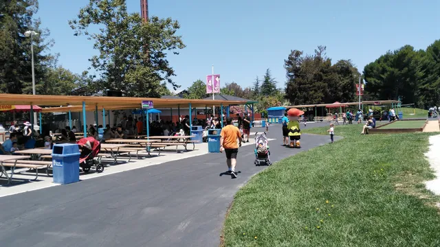County Fair Picnic Grove
