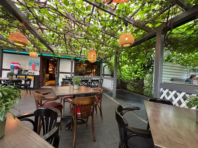 Sotus Vilkas Vilkyčiai