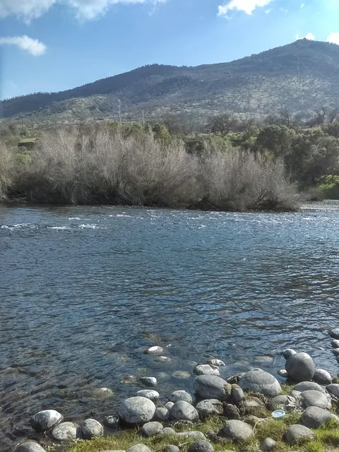 Kings River
