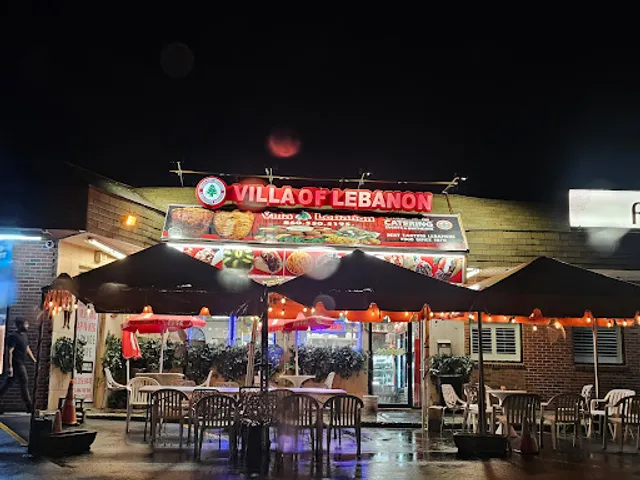 Villa Of Lebanon