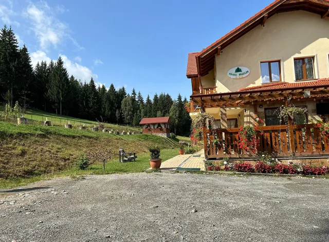 Poiana Brazilor Borșa