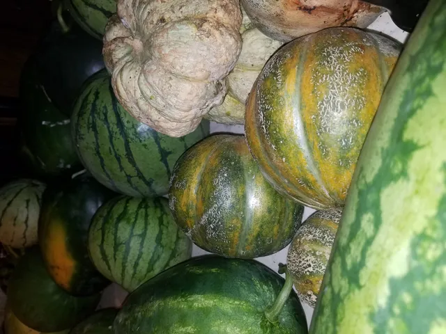 A Different Chick Farm and Orchard