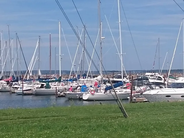 Shediac Bay Yacht Club Ltd