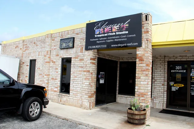 Elegant Reef - Tropical Fish Studio