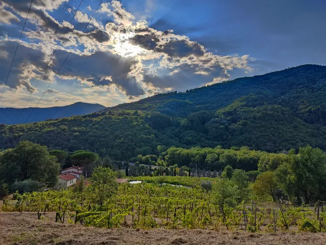 Il Poggiolo ai Casini
