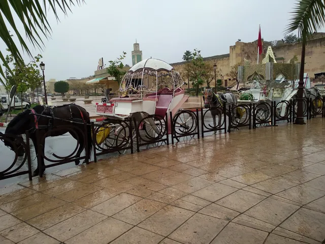 place image