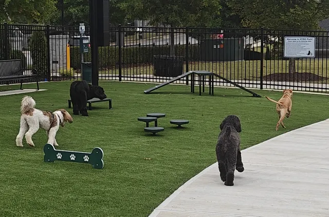 HYRO - Urban Dog Park