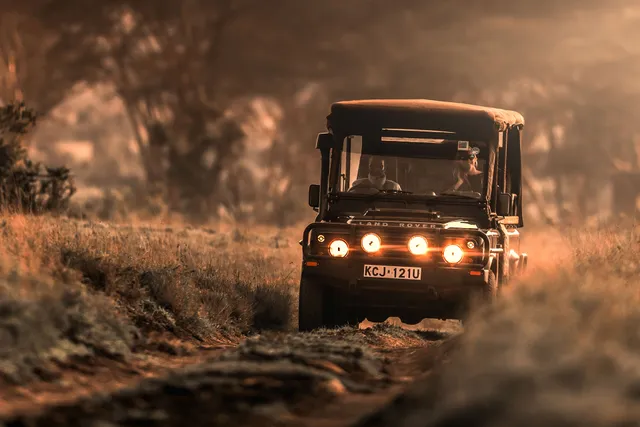 amara safari | Luxury African Safaris | Tanzania Tours