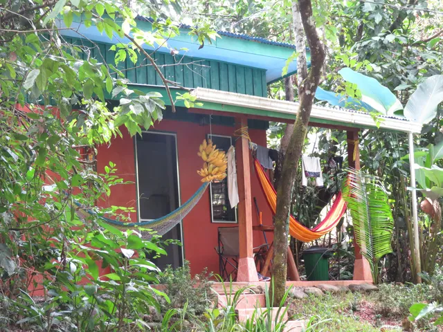 Jolly's Jungle Villa
