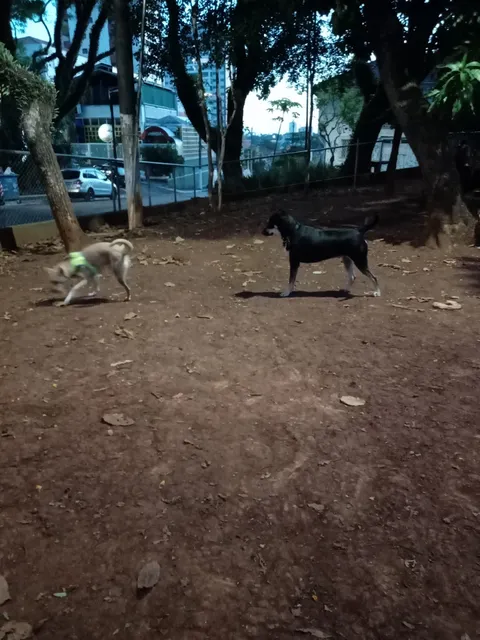 ParCão da Praça Santa Rita