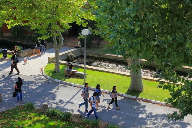 Université de Toulon