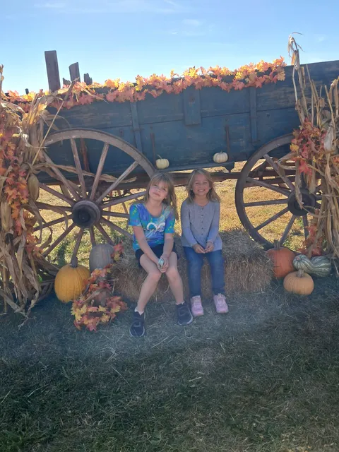 Yesternight Pumpkin Farm