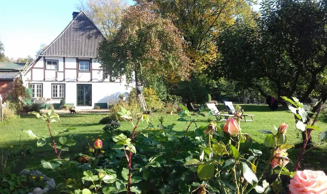 Welsh Cob Gestüt Llaun - Reiterhof