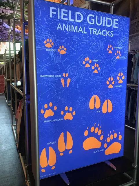 Four Mountain Sports - Aspen Highlands