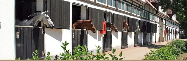Gestüt Etzenbacher Mühle