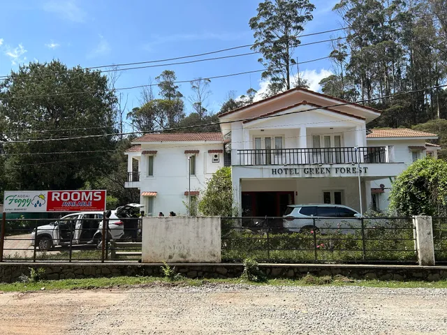 GREEN FOREST KODAI FOGGY