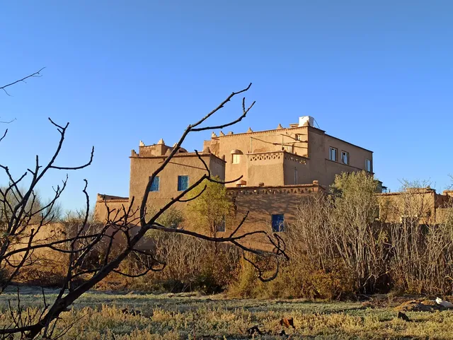 Trésors des Ancêtres