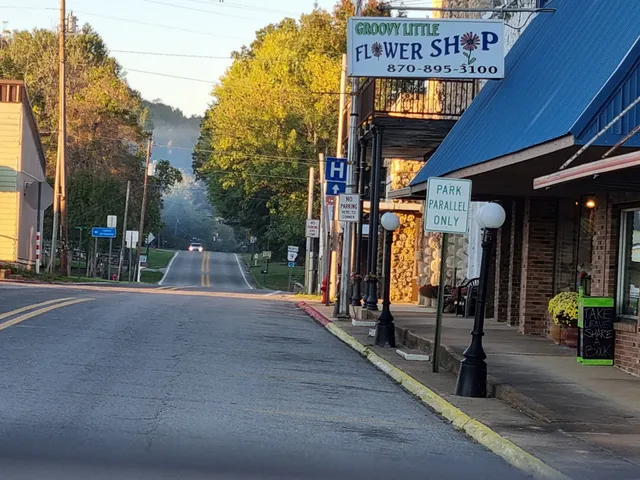 Groovy Little Flower Shop