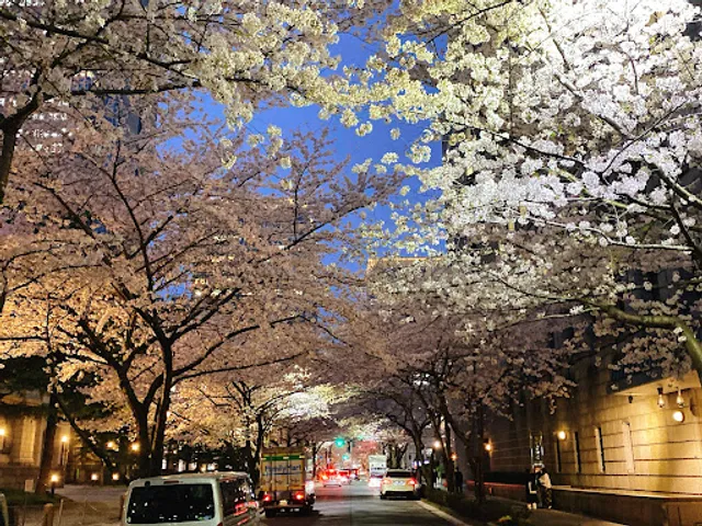 Edo Sakura-dori