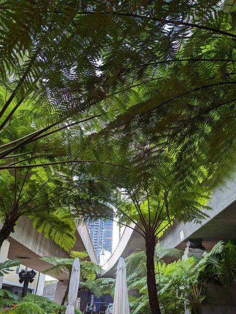 Fish Lane, Town Square, South Brisbane