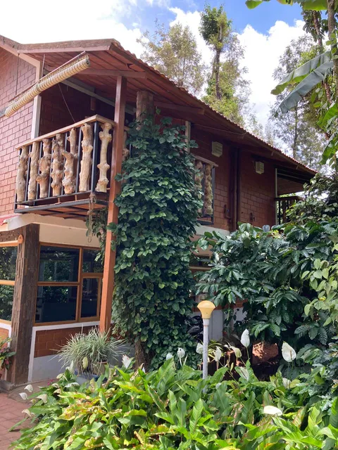 Deep Woodz estate coorg