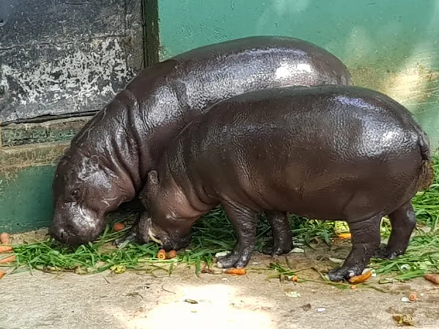 Colombo Dehiwala Zoological Gardens