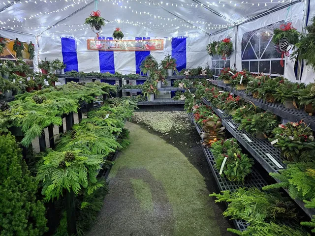 Northland Nursery
