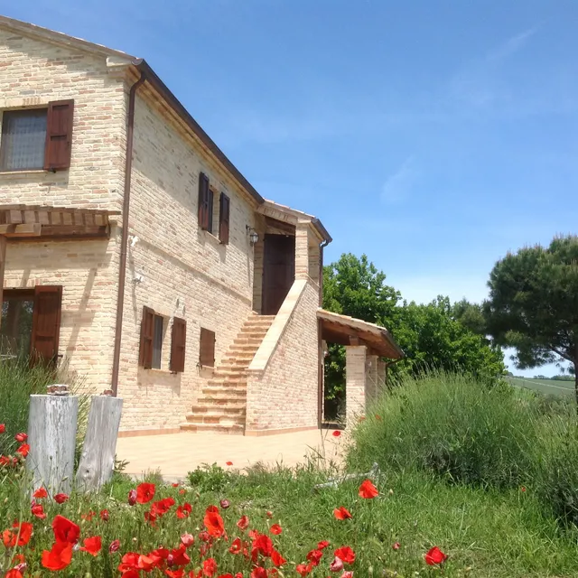 Poggio delle lavande