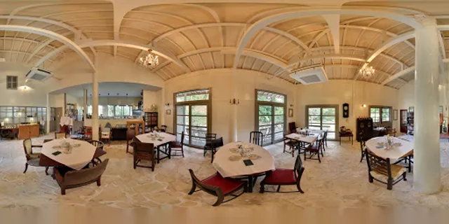 Diner in the forest smile spoon