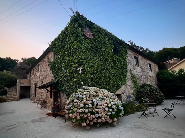 Ninho Albergue- The Pilgrim Nest