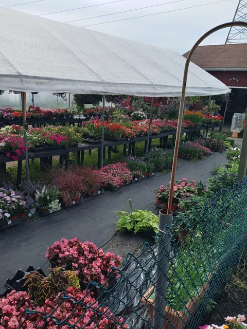 Mike's Produce and Greenhouses