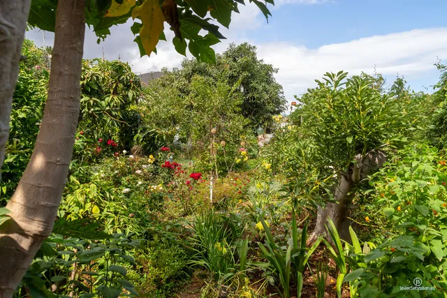 Apartamentos Bodega Goyo