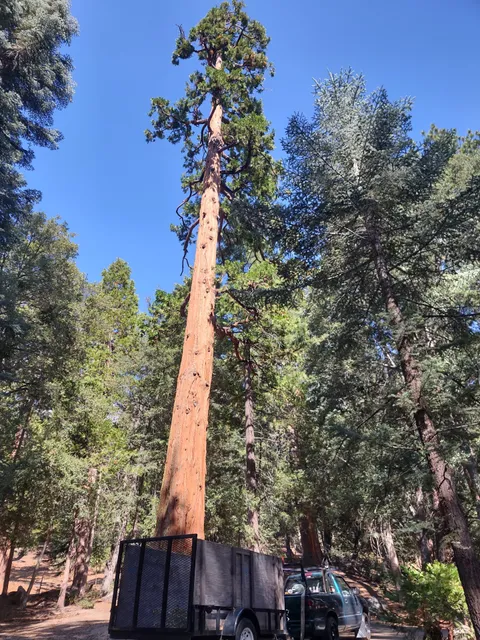 Fern Basin Campground