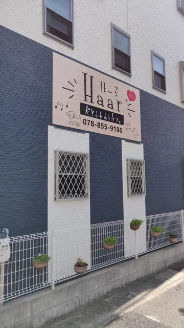 犬カフェ Haar (ハール)
