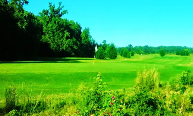 The links at Cotton Valley